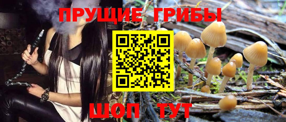 Галлюциногенные грибы мухоморы  Симферополь 