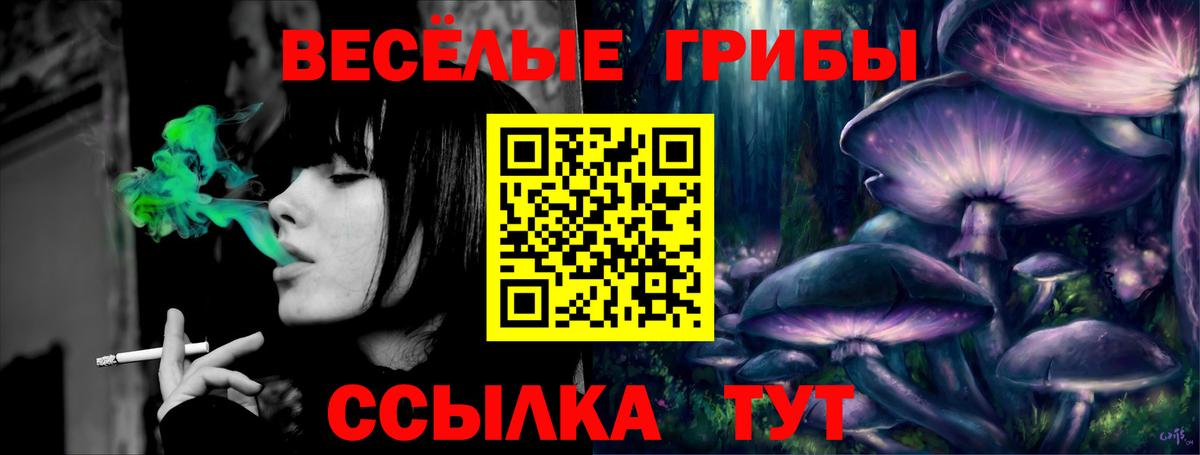 Псилоцибиновые грибы MAGIC MUSHROOMS Симферополь
